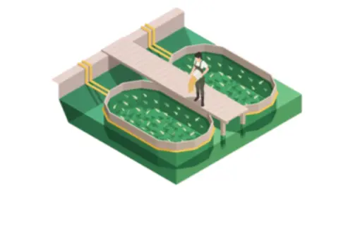 fish farming