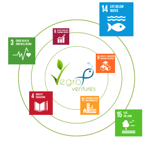 Vegro Ventures Pvt.Ltd. Sustainability Goals